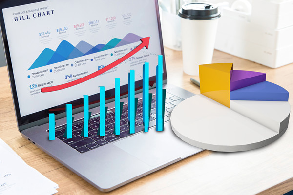 預(yù)算分析：通過數(shù)據(jù)分析，優(yōu)化預(yù)算管理