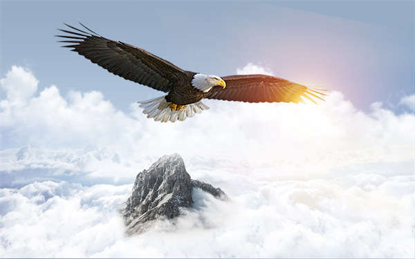 組織規(guī)劃引領(lǐng)企業(yè)變革，塑造全新管理模式與未來