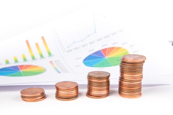 企業(yè)預(yù)算管理：一個全方位、多維度的財務(wù)管理策略