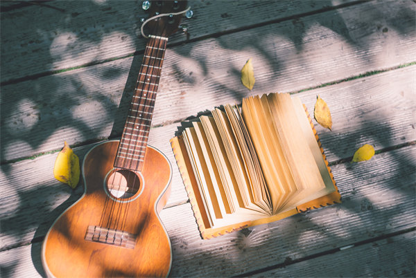 促銷策略：激發(fā)消費者購買欲望，促進(jìn)銷售增長