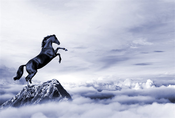 深度整合企業(yè)戰(zhàn)略資源，構(gòu)建高效運(yùn)營(yíng)管理體系