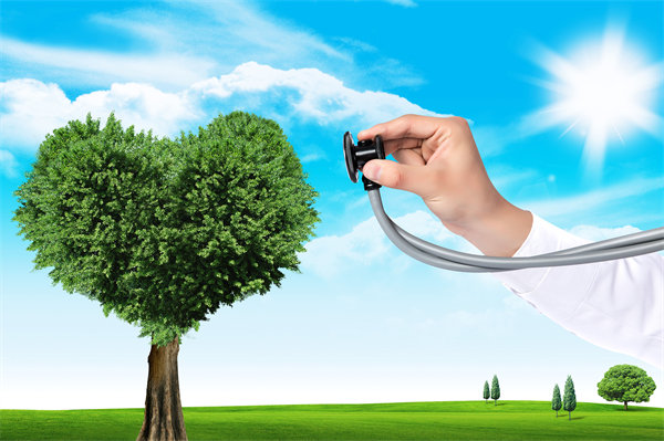 員工福利設(shè)計(jì)新思維：如何平衡成本效益與員工滿意度？