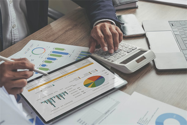 預(yù)算調(diào)整流程中的靈活性與審批標(biāo)準(zhǔn)如何把握？