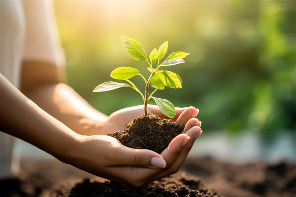 可持續(xù)發(fā)展成為趨勢，企業(yè)如何融入綠色戰(zhàn)略以促增長？