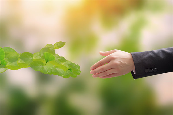 可持續(xù)發(fā)展成為趨勢，企業(yè)如何融入綠色戰(zhàn)略以促增長？