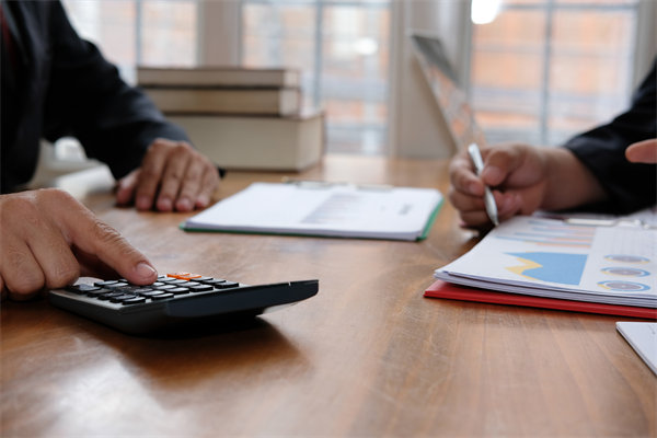 預算管理系統(tǒng)中，如何平衡自動化與人工審核的利弊？