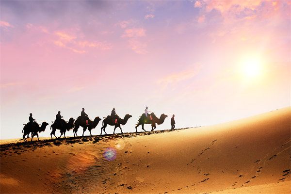 企業(yè)文化在人力資源管理中，扮演著怎樣的角色？