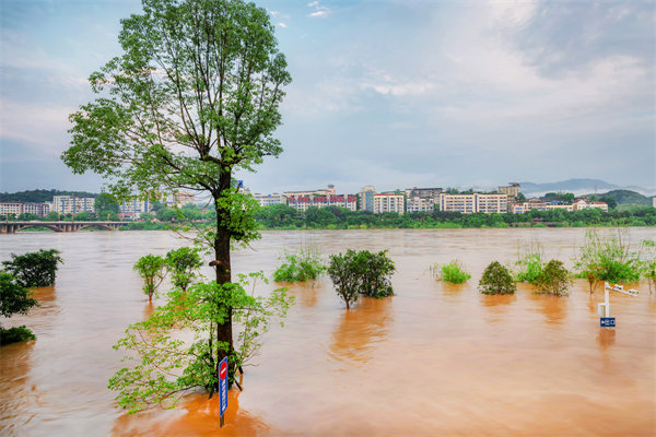 供應(yīng)鏈韌性建設(shè)：面對自然災(zāi)害的應(yīng)急計劃與恢復(fù)力？