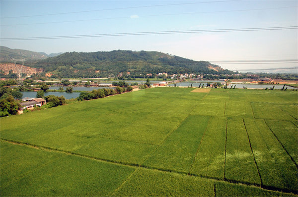 清遠(yuǎn)績(jī)效咨詢公司如何定制高效績(jī)效管理體系？