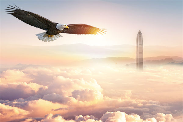 企業(yè)文化與企業(yè)管理如何協(xié)同，推動(dòng)企業(yè)持續(xù)發(fā)展？