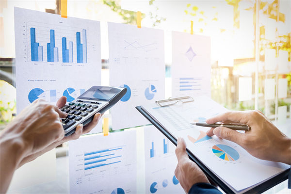 在預(yù)算執(zhí)行中，如何確保監(jiān)控與調(diào)整機(jī)制的有效性？