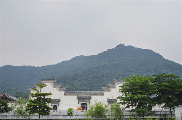 佛山組織規(guī)劃咨詢公司如何優(yōu)化企業(yè)人才梯隊(duì)建設(shè)？