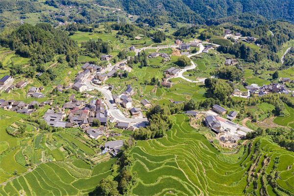 企業(yè)薪酬激勵乏力，麗水薪酬咨詢公司如何激發(fā)員工積極性？