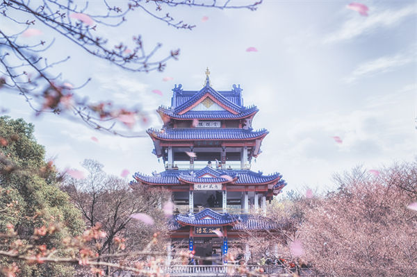 供應鏈成本居高不下，無錫供應鏈咨詢公司如何精準砍出利潤空間？