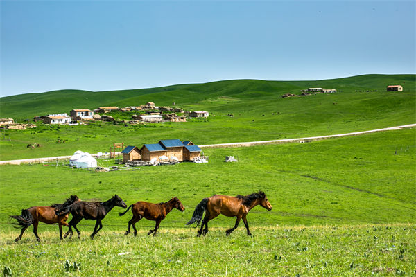 飛新疆的機(jī)票價(jià)格漲爆了，什么情況？是營(yíng)銷炒作？