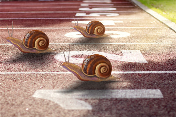 新業(yè)務拓展艱難，年度經(jīng)營計劃為其定制專屬發(fā)展路徑