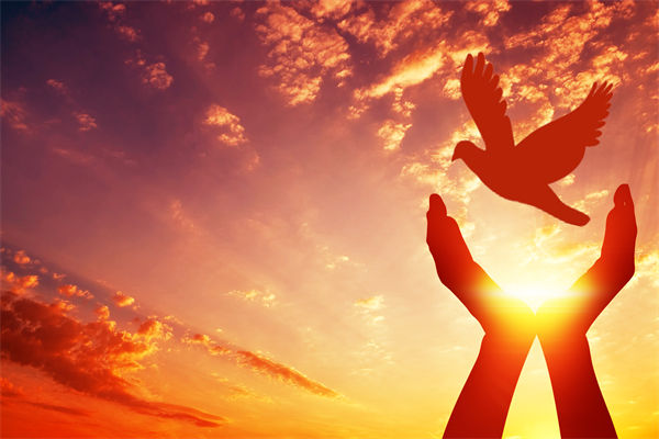 別讓盲卡盲盒“收割”孩子，關(guān)聯(lián)企業(yè)戰(zhàn)略怎么看？