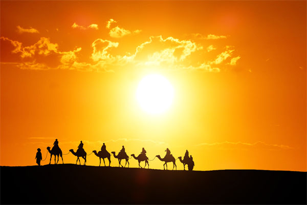 高層標(biāo)榜的企業(yè)文化，如何穿透形式真正落地生根？