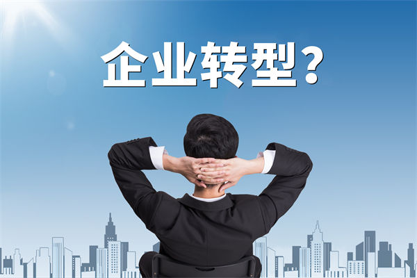 企業(yè)轉(zhuǎn)型無方向，數(shù)智化咨詢公司能否指引明路？
