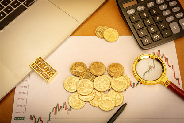 企業(yè)預(yù)算管理分析：數(shù)千元滑雪裝備一公司報(bào)關(guān)幾百元