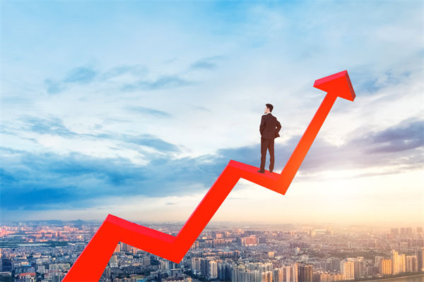 績效管理咨詢公司，能幫企業(yè)建立以結果為導向的體系嗎？