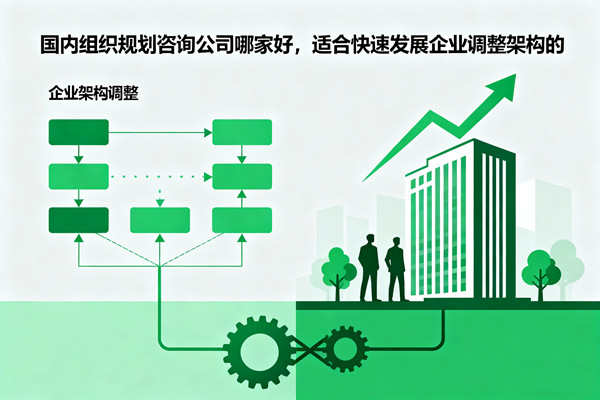 國內(nèi)組織規(guī)劃咨詢公司哪家好，適合快速發(fā)展企業(yè)調(diào)整架構(gòu)的