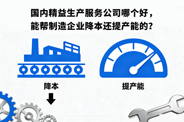 國內(nèi)精益生產(chǎn)服務(wù)公司哪個好，能幫制造企業(yè)降本還提產(chǎn)能的？