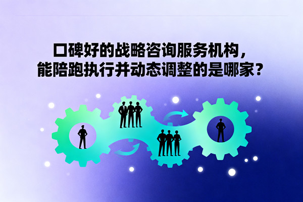 口碑好的戰(zhàn)略咨詢服務機構，能陪跑執(zhí)行并動態(tài)調(diào)整的是哪家？