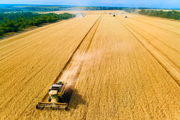 農(nóng)業(yè)行業(yè)供應(yīng)鏈管理咨詢公司推薦，能解農(nóng)資采購(gòu)成本高問(wèn)題嗎？