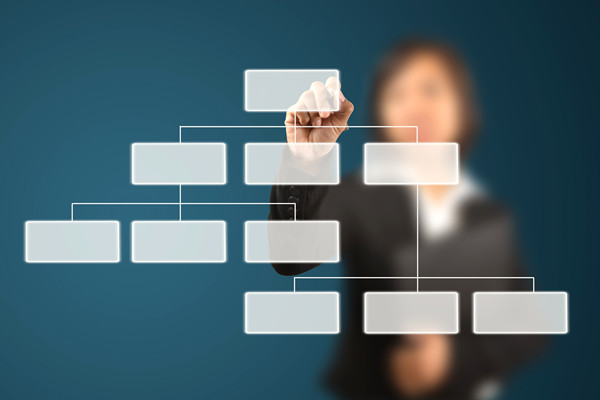 哪家組織規(guī)劃咨詢公司落地最好，能搭建適配發(fā)展的組織體系？